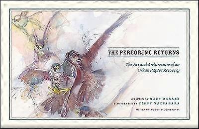 The Peregrine Returns