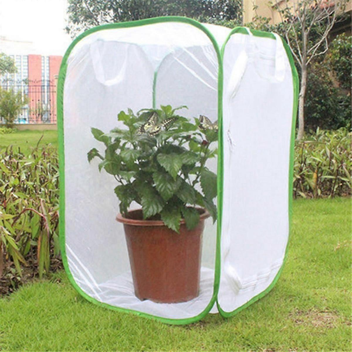 Inseto e borboleta habitat gaiola Terrarium Pop-Up 23,6 polegadas de altura Viveiro de plantas Caixa A