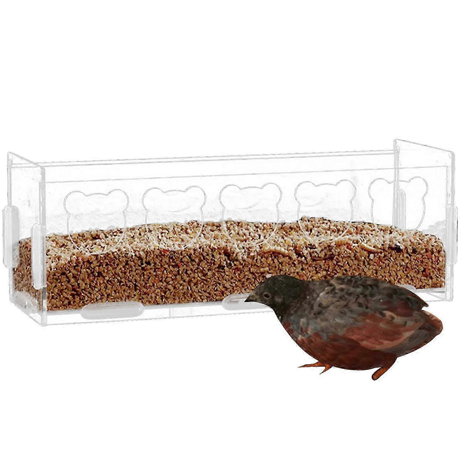Automatic No Mess Bird Feeder Perch for Parrots, Starlings, Parakeets, and Macaws