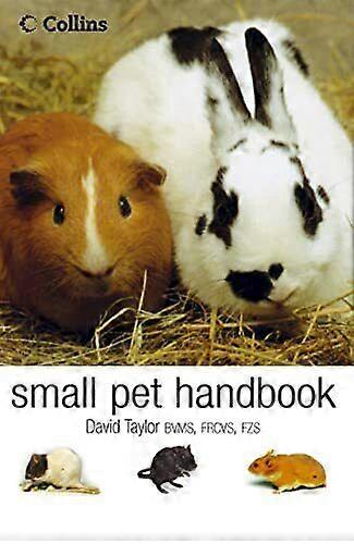 Collins Small Pet Hand: Looking after rabbits,... by Taylor, David