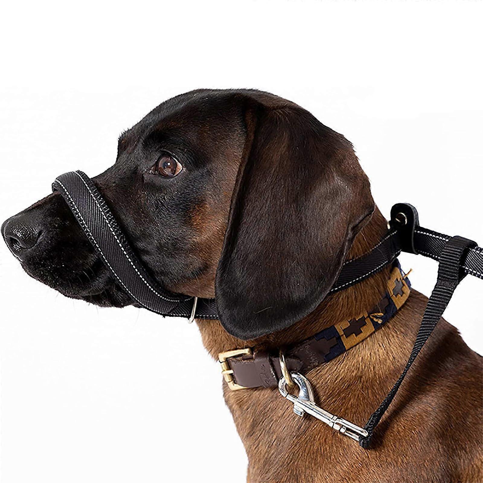 Dog Head Collar, AllinOne Headcollar Lead, NoPull Training Tool for Walks, Adjustable 2m Lead for Small, Medium and Large Dogs