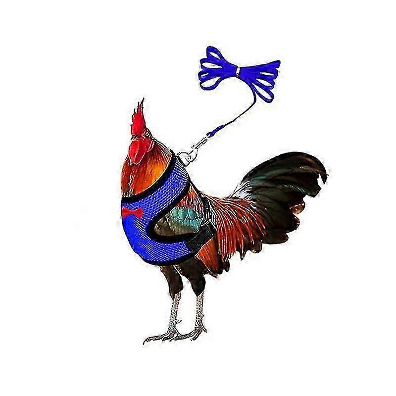 Chicken Harness And Leash, Modified Adjustable Breathable Harness Specially Designed For Chicken Duck Goose Training