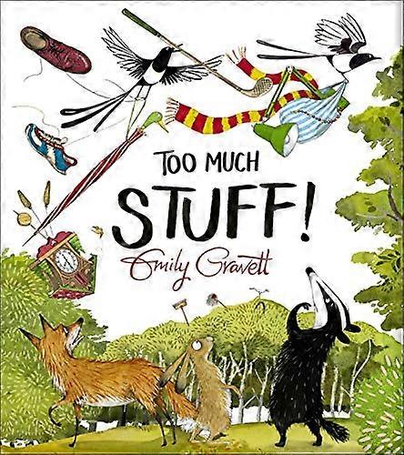Too Much Stuff