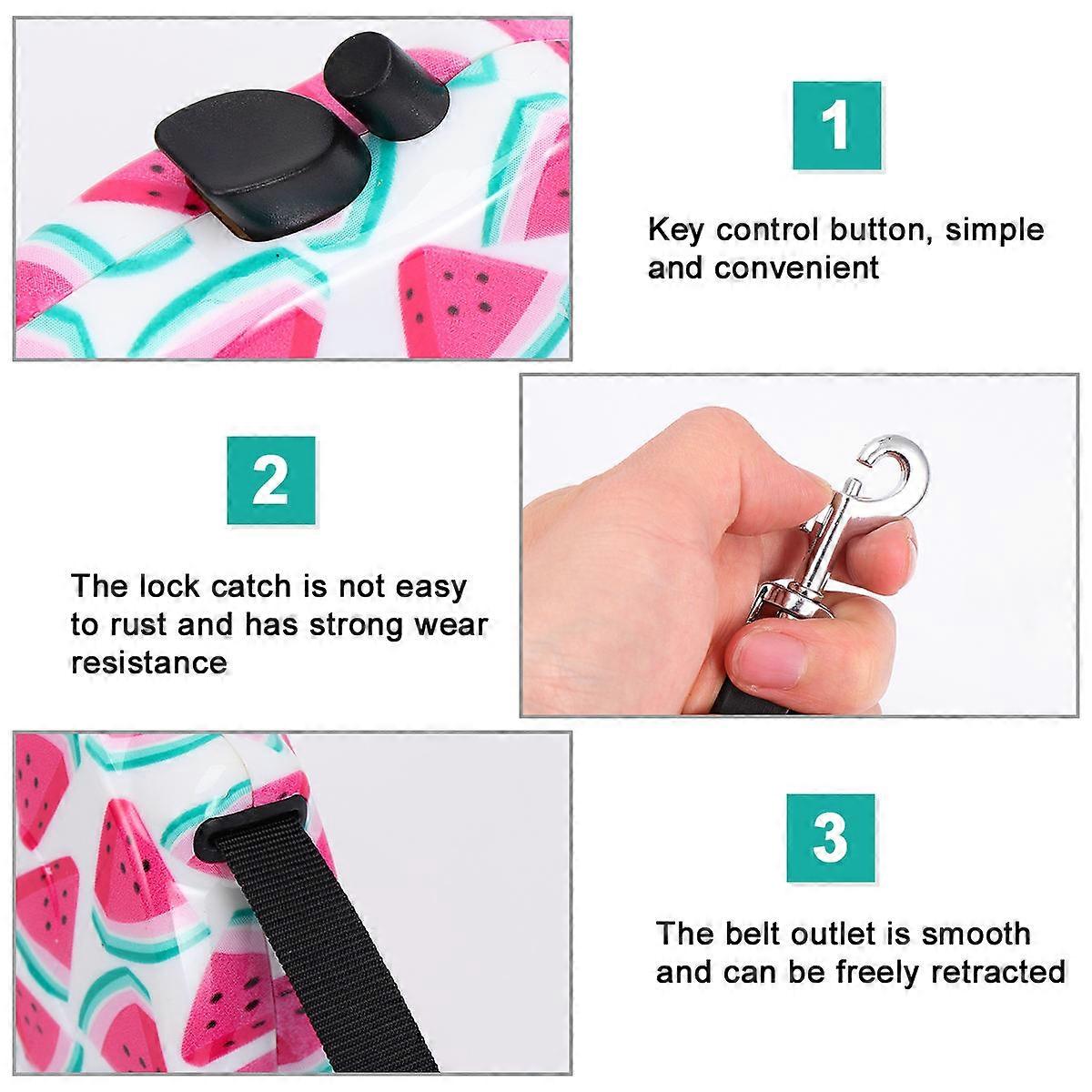 Dog Leashes for Small Dogs Automatic Retractable Walking Rope Assorted Color