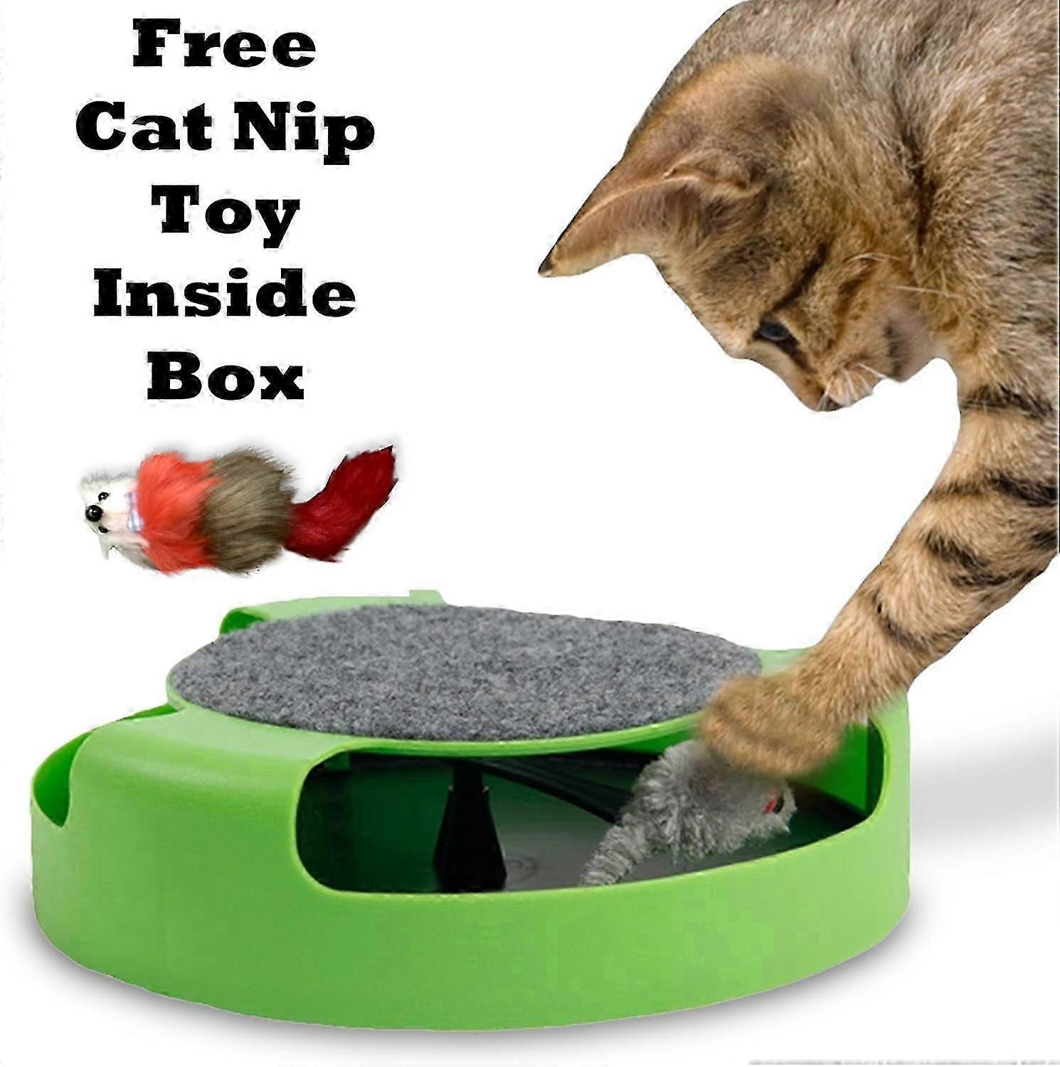 Motion Cat Toy Catch Mouse