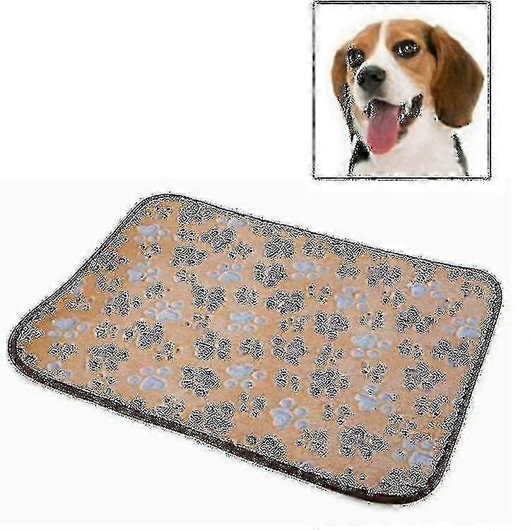 Cushion Kennel Blanket Vine Specification Doublesided
