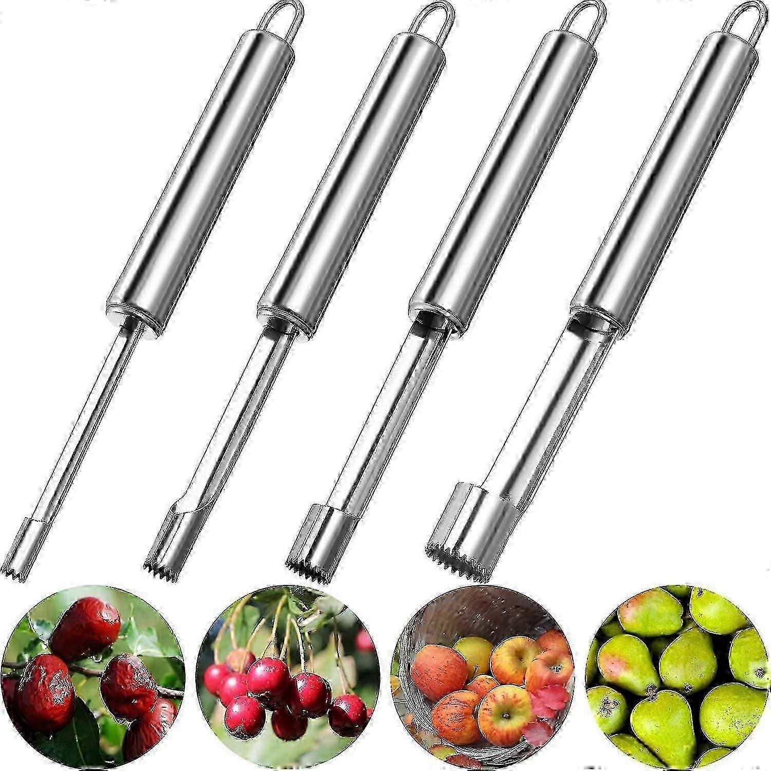 4 Pcs Corer And Pitter Multi-function Fruit Corer Set 4 Sizes