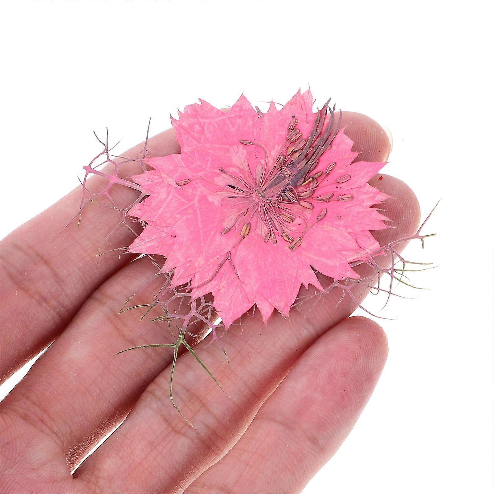DIY Flower Specimen Mobile Case Material Pack for Decoration 30Pcs
