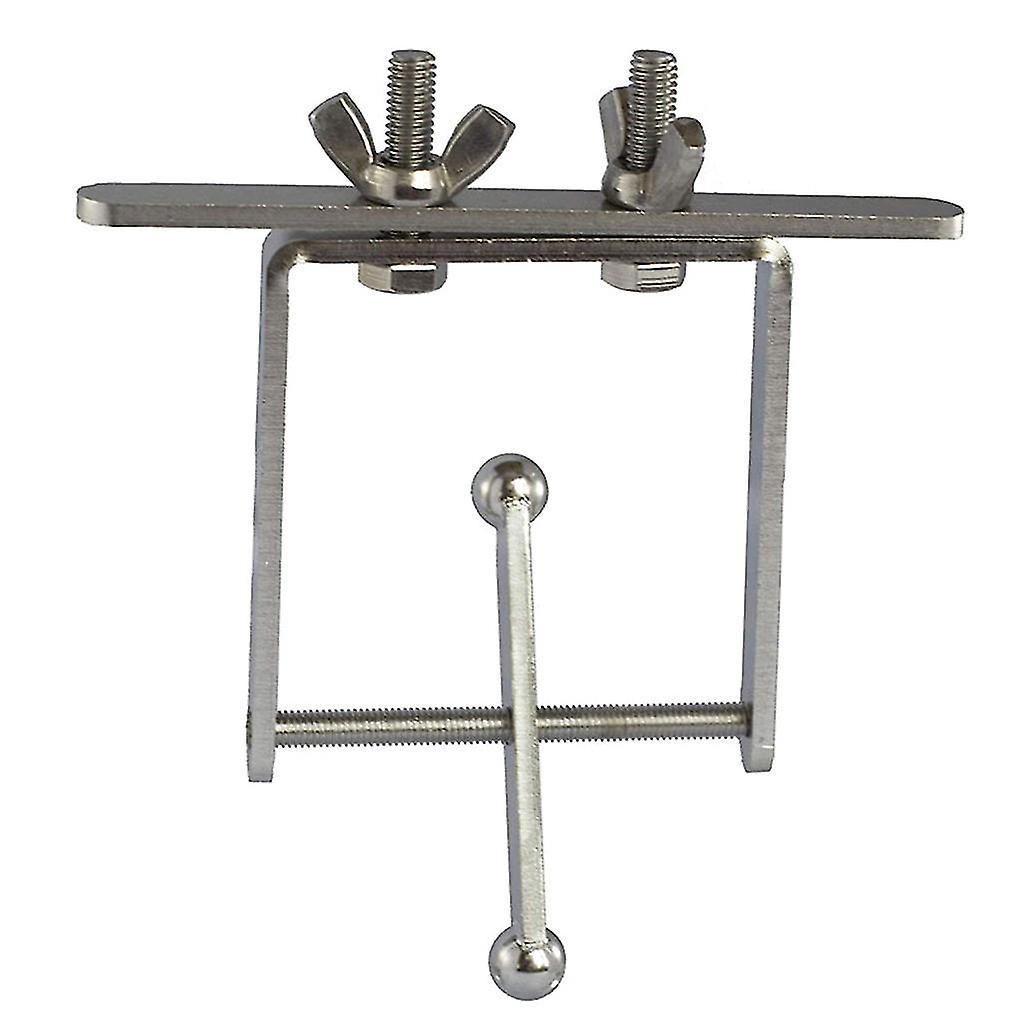 Bird Toy With Traveling Spinner Stainless Steel Spins On Axis Brain Teaser And Mind Game For Medium To For Extra Large B