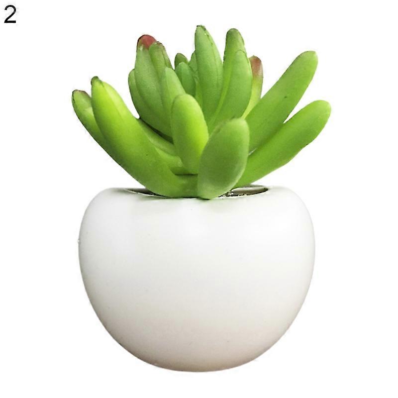 Succulent Shape Refrigerator Magnets Removable Plastic No Scratch Whiteboard Magnets Kitchen Decor