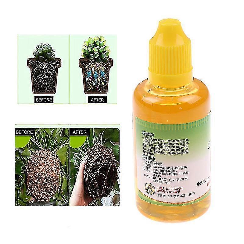 Hormone d’enracinement rapide Croissance des semis Germination Bouture Graine fleur engrais-Excellence