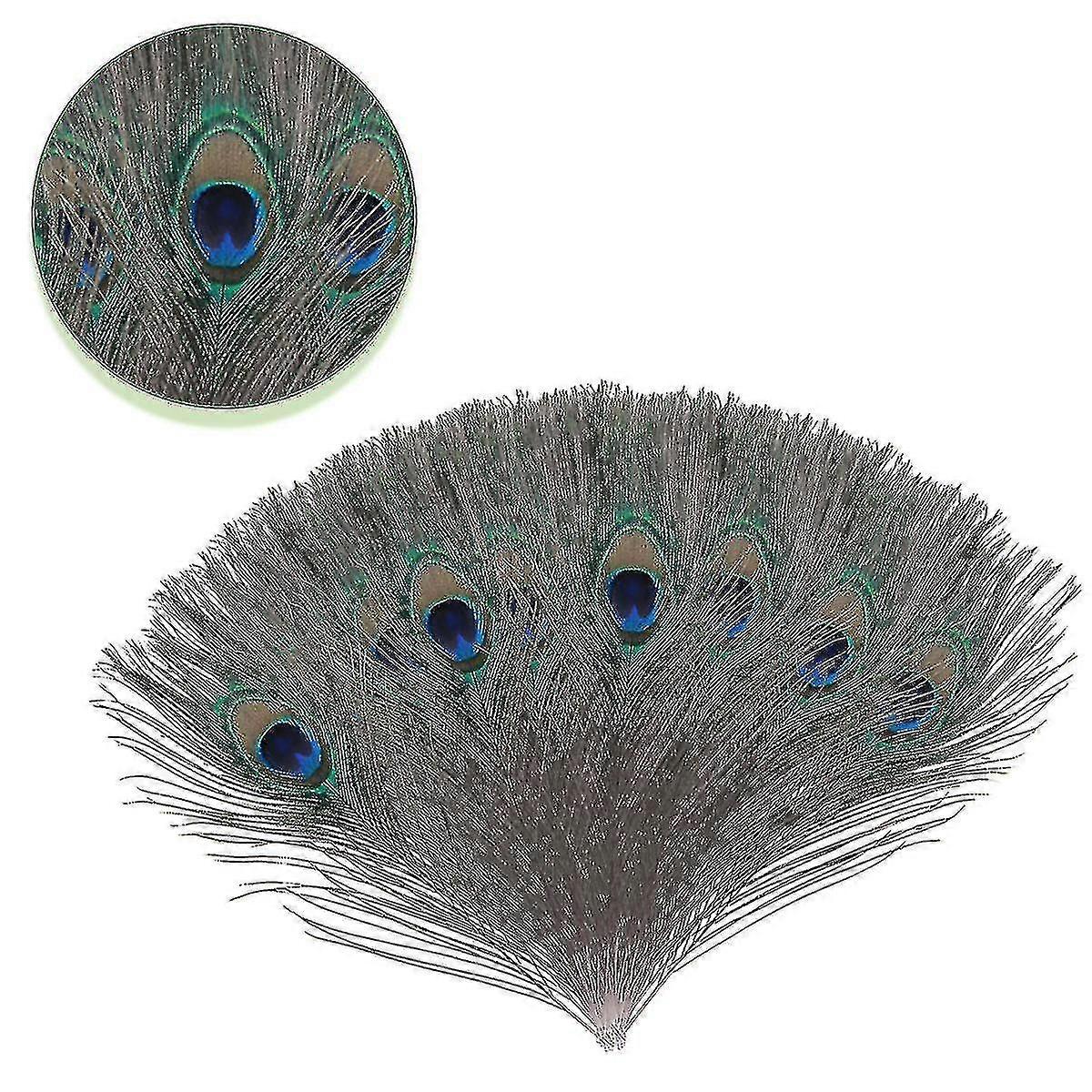 Natural Large Peacock Feathers for Decoration