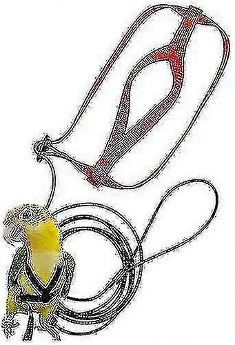 Harnais Rglable Bird, Pet Bird Harness Xs
