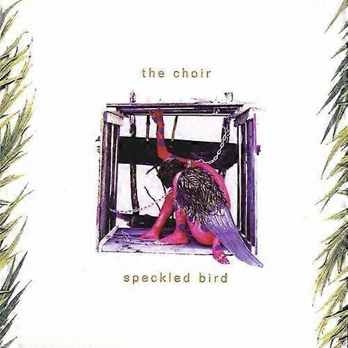 Choir Speckled Bird CD - As New
