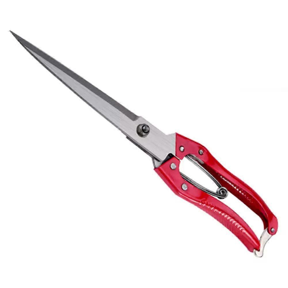 Multifunctional Scissors as Garden Shears and Craft Scissors