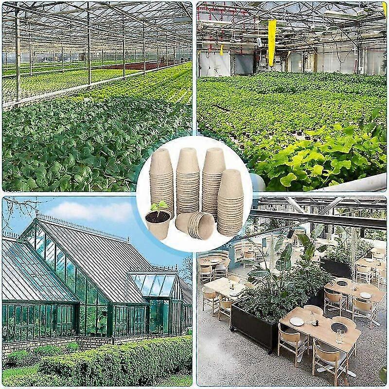 View of Biodegradable Seedling Pot, Small Fiber Pots, Gardening Pot Set ...