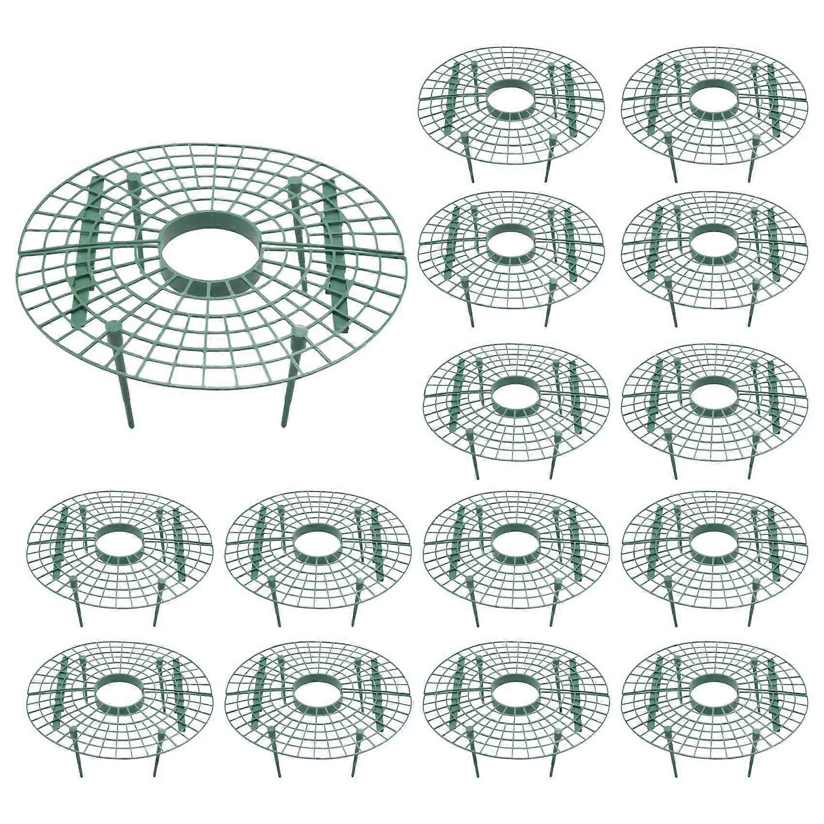 A pack of 15 strawberry plants supports the shelf for strawberries, with tools for strawberry growth in a lazy form.