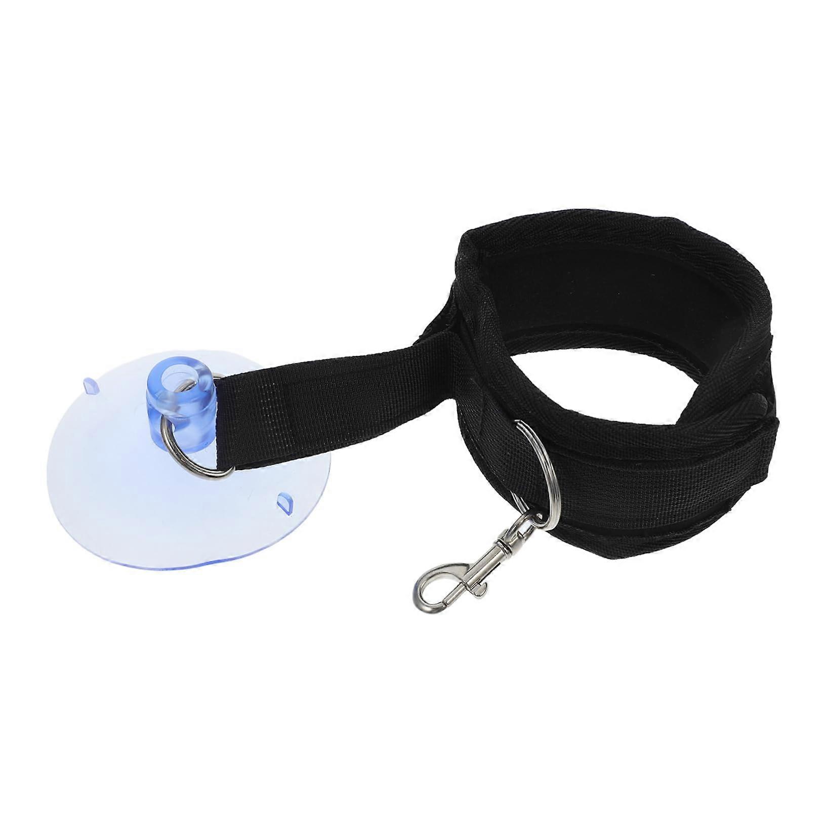 Pet Grooming Suction Cup Holder for Cats and Dogs Adjustable Bathing Loop Strong Suction for Safe Nail Trimming and Grooming