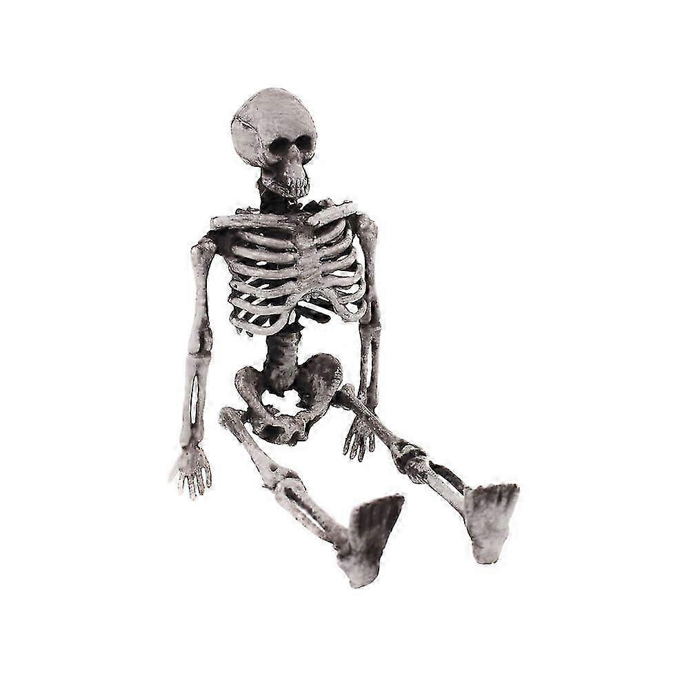 2025 Simulated Skeleton Prop Halloween Skeleton Small Human Body Bone Model