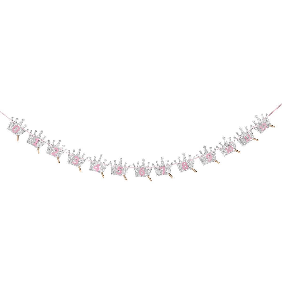 Growth Record Banner Pink Monthly Bunting Banner for Decorating 3m Set