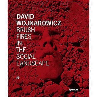 David Wojnarowicz: Brush Fires in the Social Landscape