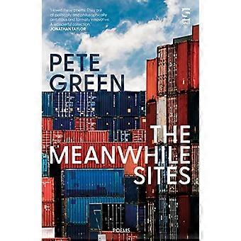 The Meanwhile Sites (Salt Modern Poets)