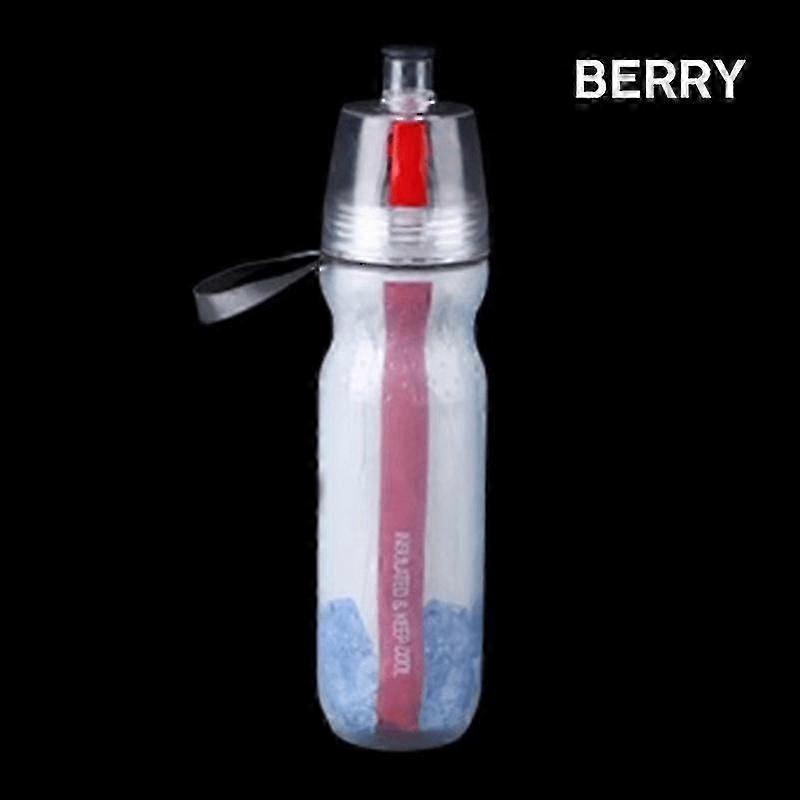 Insulated Mist Spray Bottle 500ml
