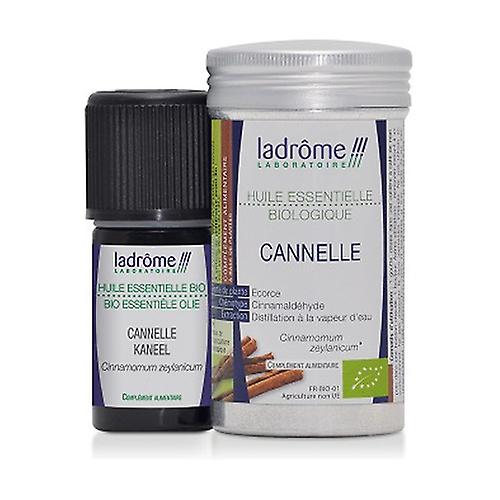 Organic Cinnamon essential oil 5 ml of essential oil (Cinnamon)