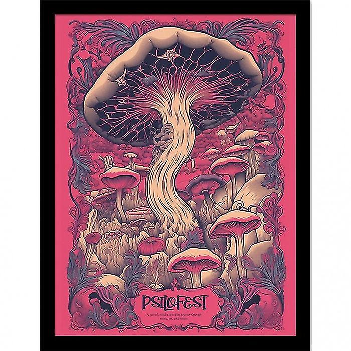 Ada Ingram Psilofest Framed Poster