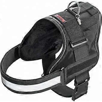 Durable Adventure Harness for Dog