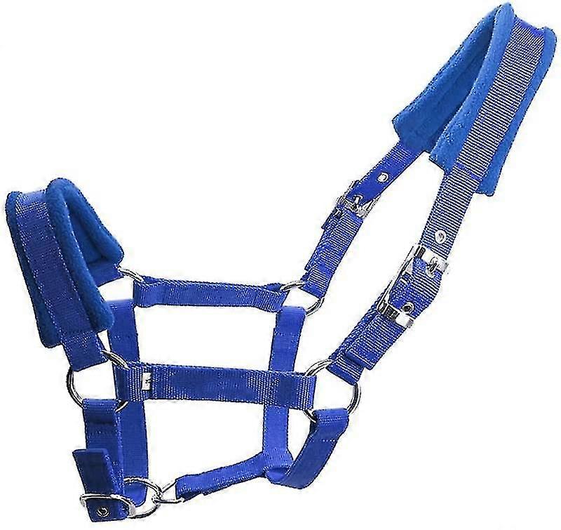 סוסים הלטר.פליז סוס הלטר.חיה פליז Headcollar. הגנה על סוסים מרופדת