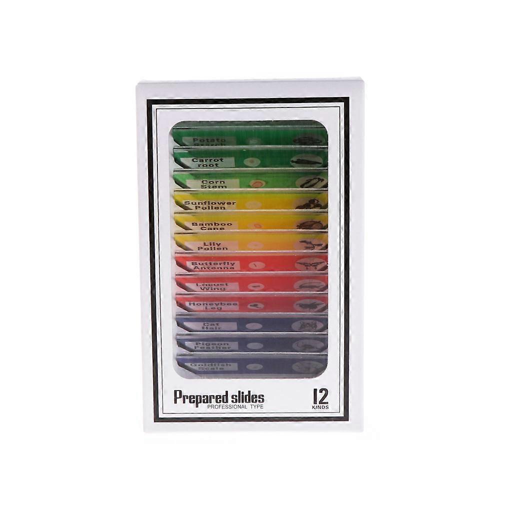 12 Pcs Prepared Microscope Slides Set Specimen For Student Basic Biology Educati