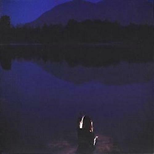 Tiny Vipers Hands Across the Void CD (2007)