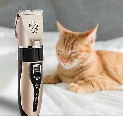 Lewer 9 W Cordless Universal Razor
