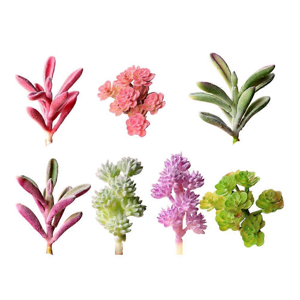 Succulent Modeling Simulated Succulent Plant Home Decor Assorted Color 8 x 8 x 8 cm 7 Pcs