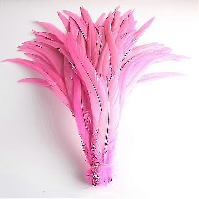 50pcs Natural Chick Tail Feathers 25-40cm / 10-16inch Clothing Decoration for Stage Performance and Rooster Tail Plume Suitable for Various