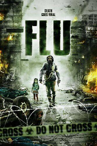 Flu [DVD] [2013] [Region 1] [US Import] DVD