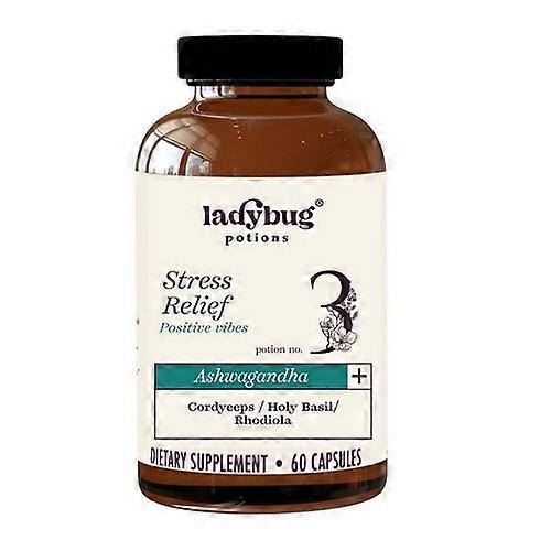 Ladybug Potions Positive Vibes Ashwagandha Plus ,60 Capsules (Pack of 1)