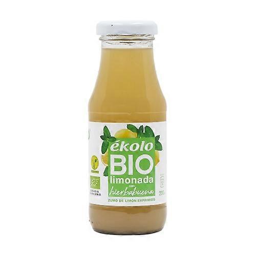 Lemonade with spearmint + agave 200ml 200 ml