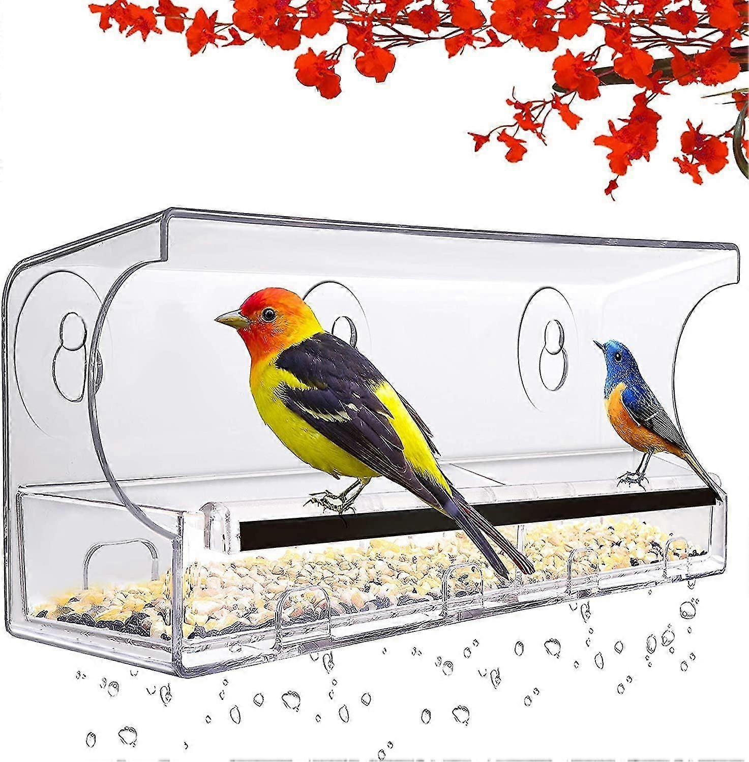 Clear Acrylic Window Bird Feeder with Drain Holes