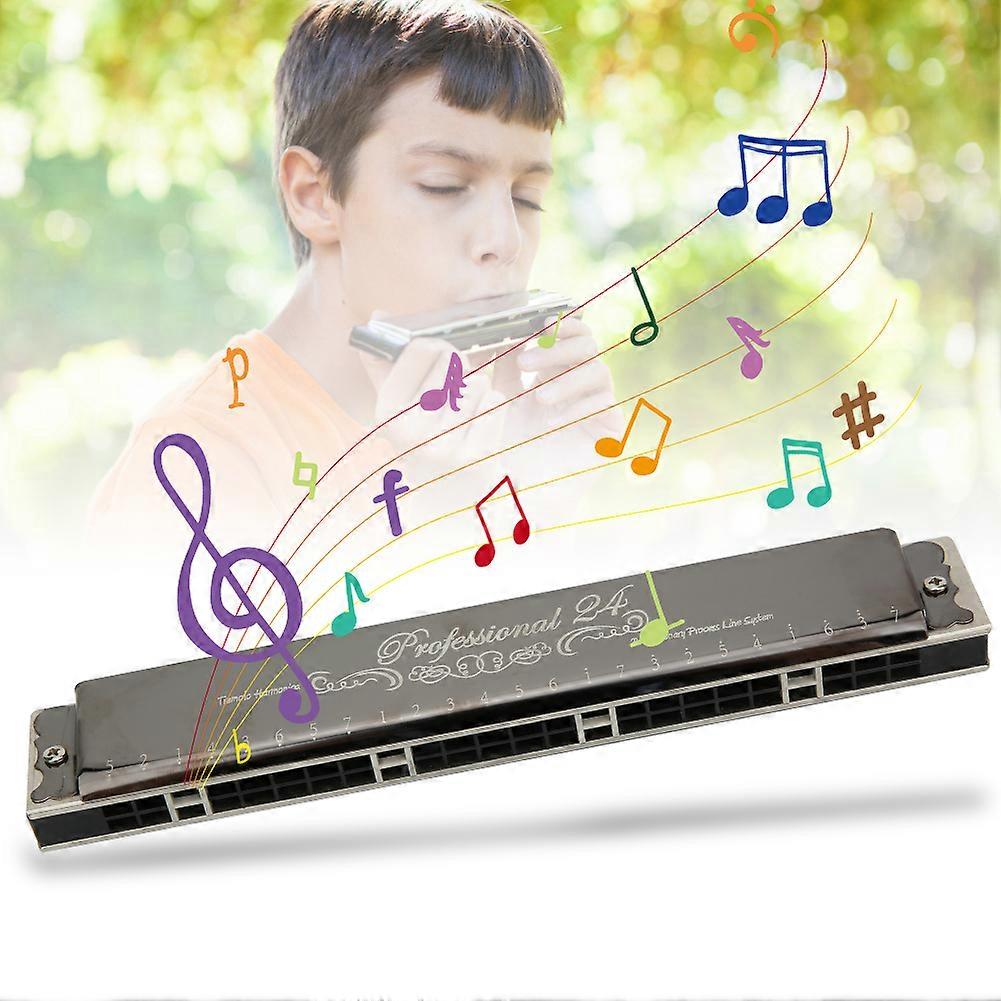 KS-24P 24-Hole Diatonic Harmonica Black C# Key Wind Instrument