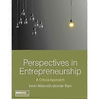 Perspectivas em Empreendedorismo: Uma Abordagem Crítica - Kevin Mole