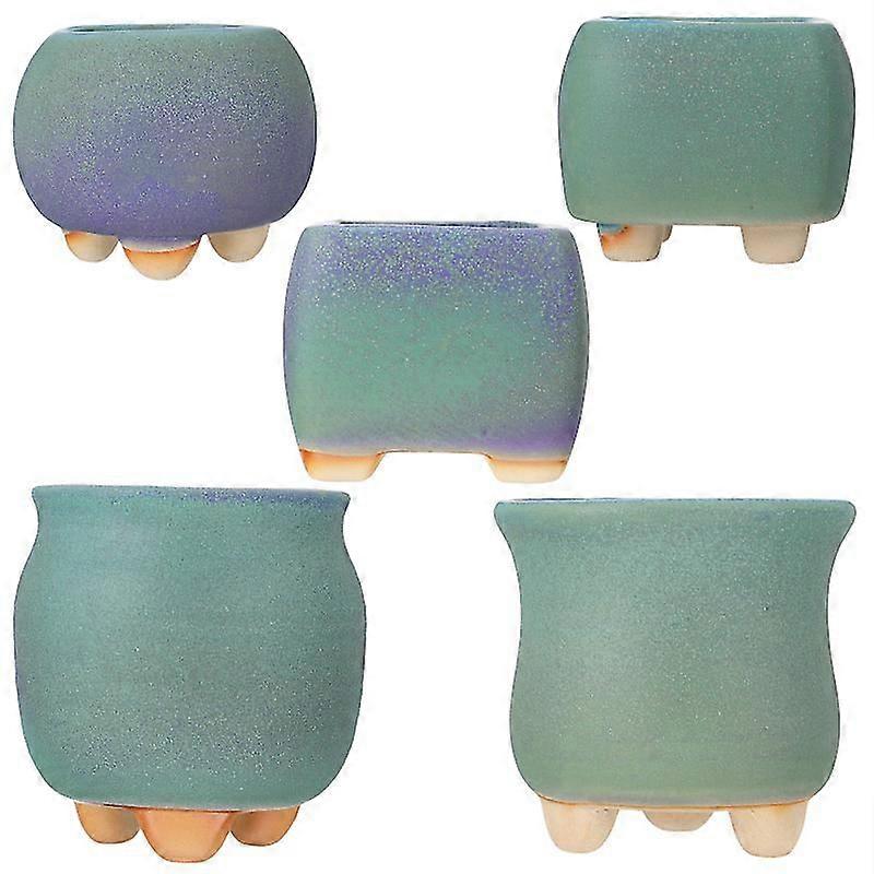 5pcs Green Plants Pot