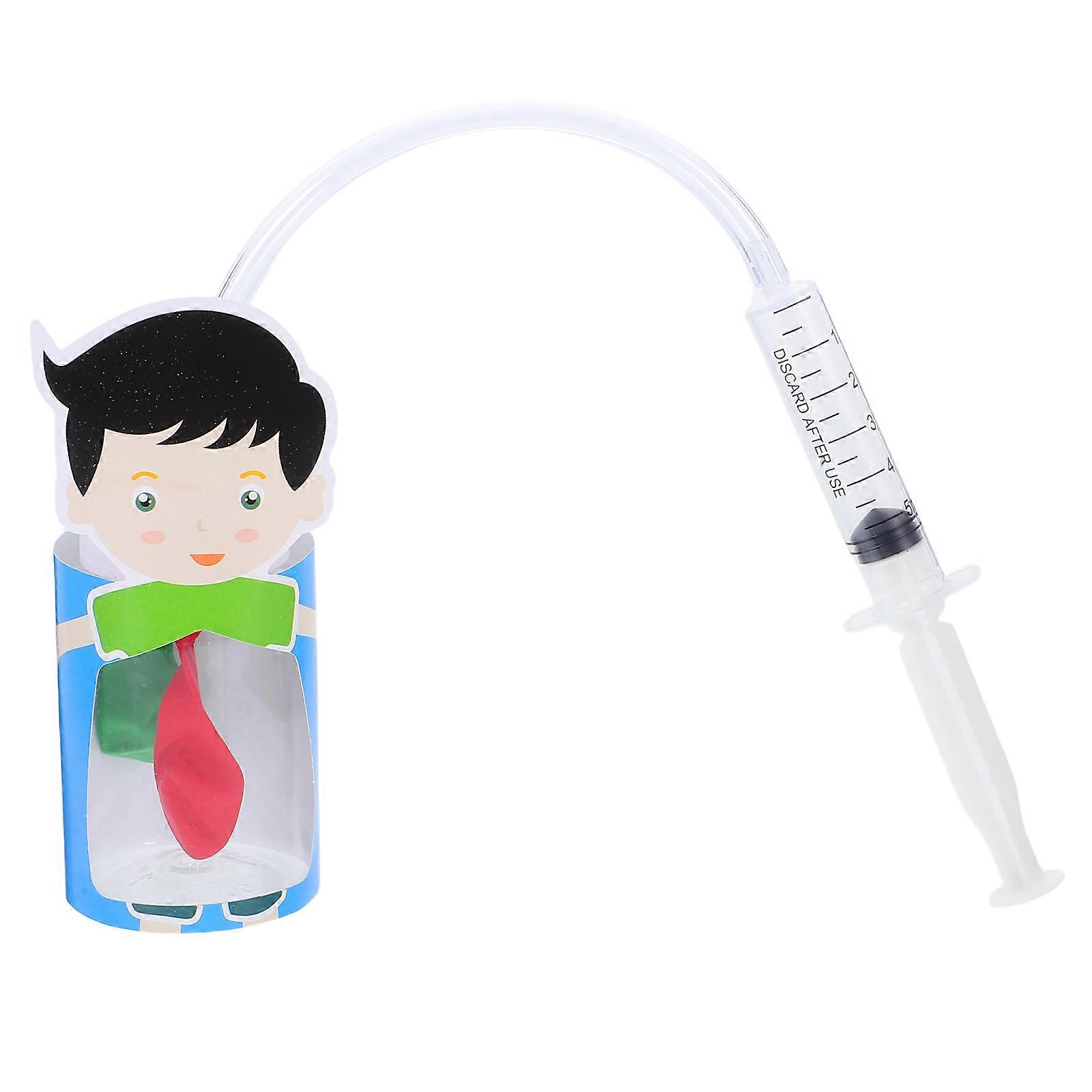 Lung Breathing Model Human Lung Respiration Tool