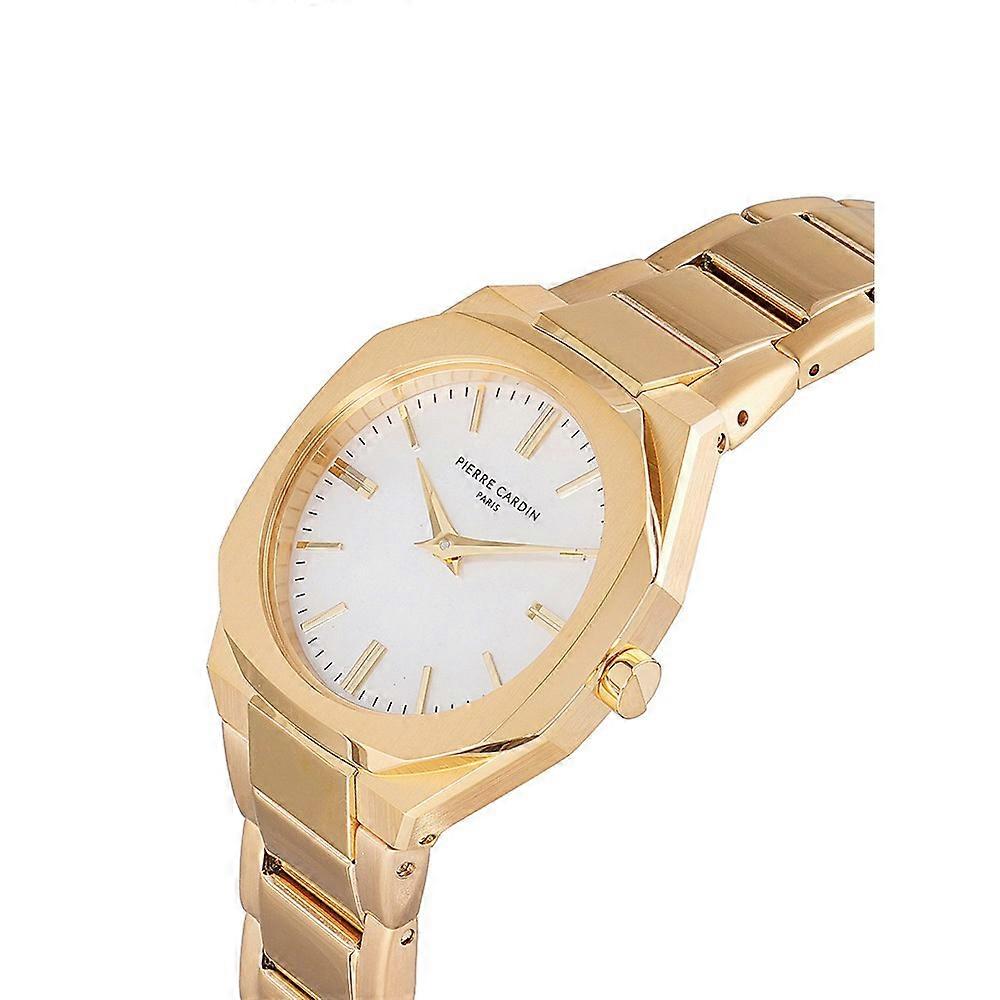 Watches Pierre Cardin cf1008mg