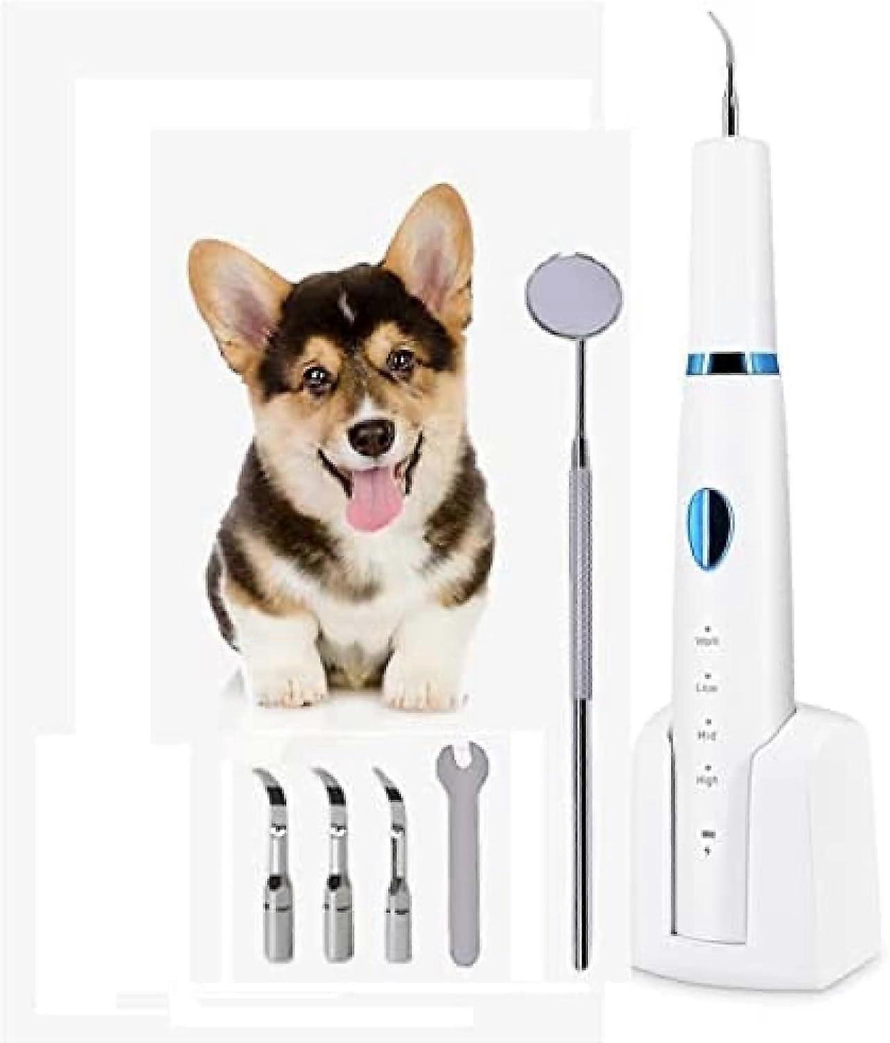 طقم فرشاة أسنان كهربائية للحيوانات الأليفة ، ، قط ، مزيل جير ، ملمع أسنان الأليفة ، تبييض نظيف ، 3 أوضاع قابلة للتعديل شحن USB لرعاية الأليفة  