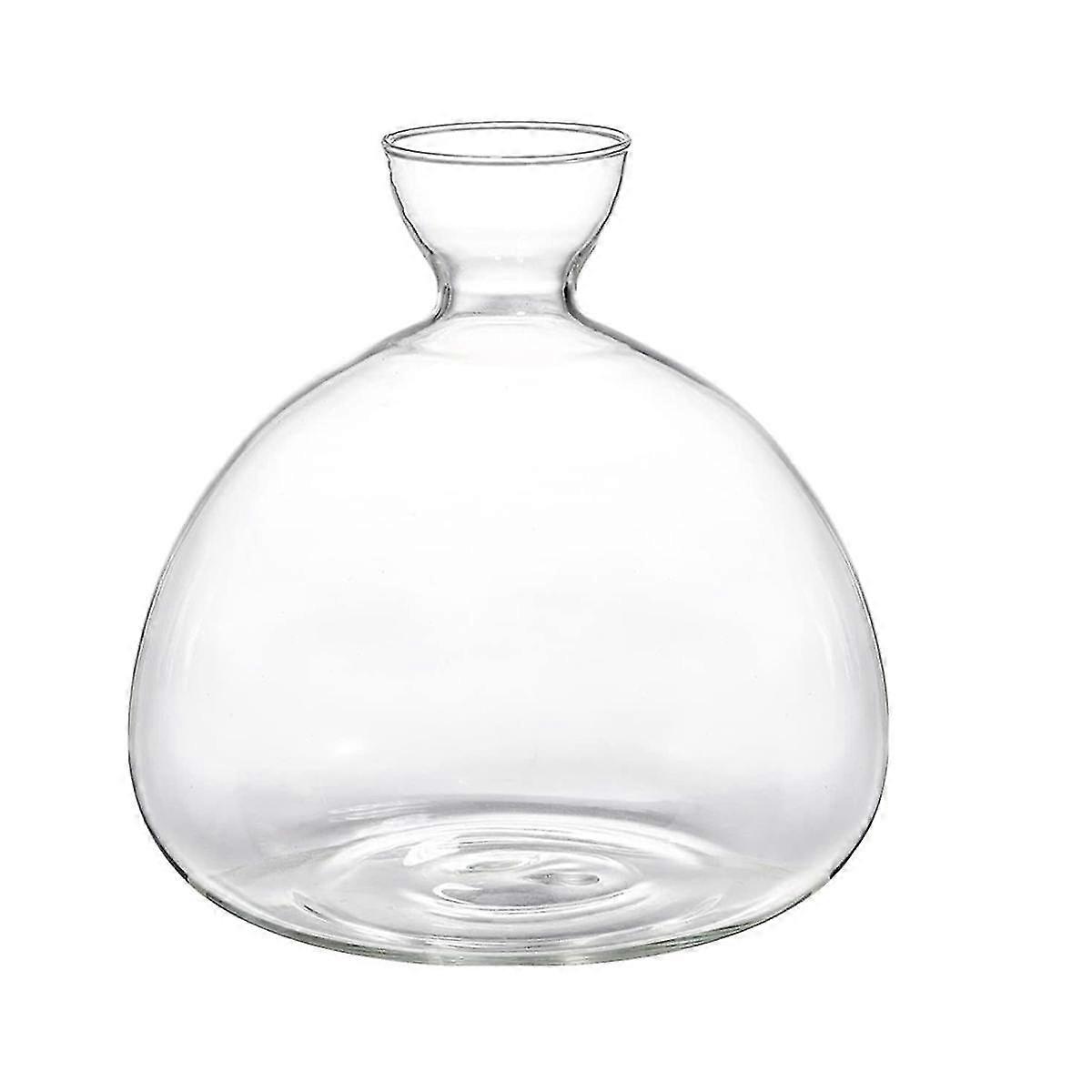 Avocado Seed Vase,Avocado Seed Sprout Glass Container, Avocado Tree Planting Growing Kit for Plant