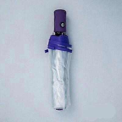 Transparent Fully Automatic Umbrella