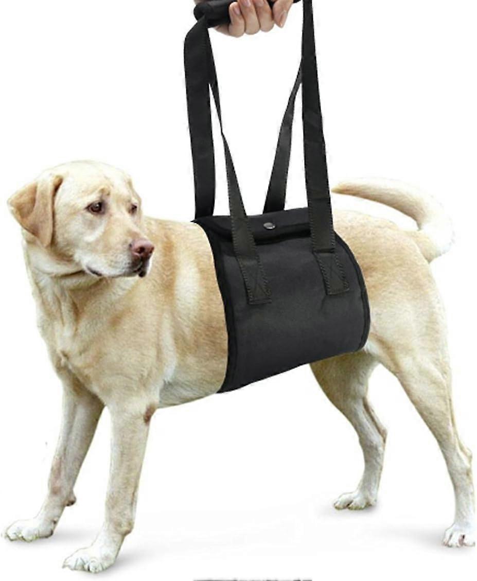 MChien de Levage Soutien Harnais Aide Canine Αποκατάσταση Harnais pour Chiens avec Pattes Faibles