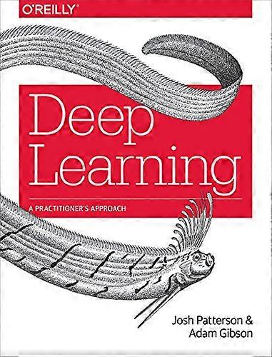 Deep Learning: A Practitioners Approach